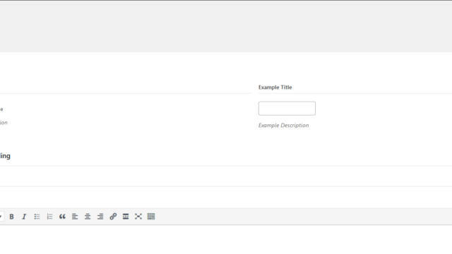 WP Custom Fields: WordPress Options Framework Example Image