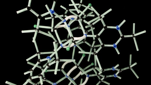 WordPress Component Library: a library of WordPress Components of Molecules and Atoms