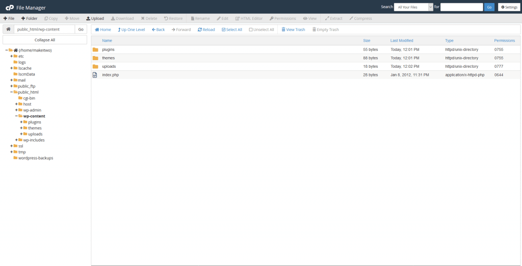 The filemanager in cPanel